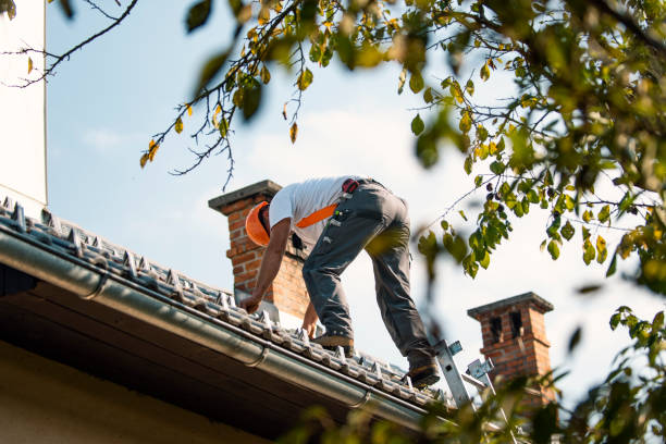 Best Emergency Roof Repair  in Middleport, OH